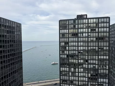 View/Area - 253 E Delaware Pl #8A, Chicago, IL 60611 photo 3 of 5