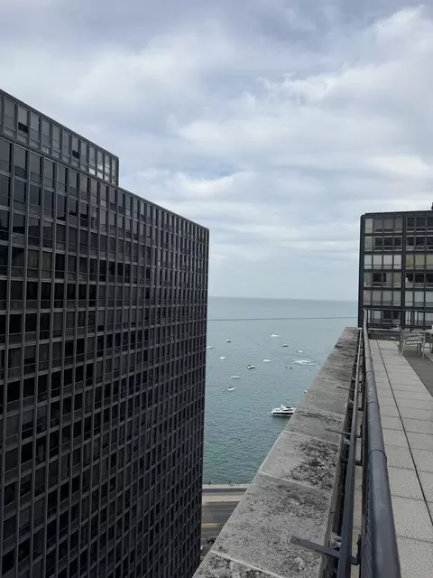 View/Area - 253 E Delaware Pl #8A, Chicago, IL 60611 photo 4 of 5
