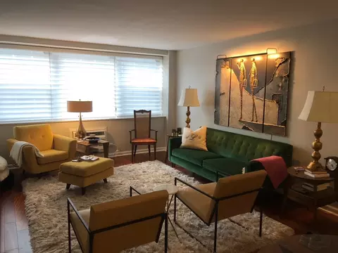 Living - 253 E Delaware Pl #8A, Chicago, IL 60611 photo 1 of 1