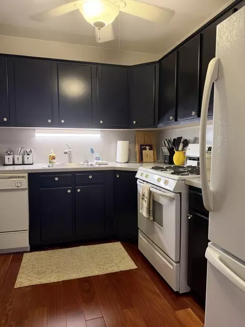 Kitchen - 253 E Delaware Pl #8A, Chicago, IL 60611 photo 1 of 3