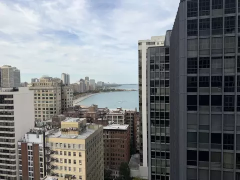 View/Area - 253 E Delaware Pl #8A, Chicago, IL 60611 photo 1 of 5