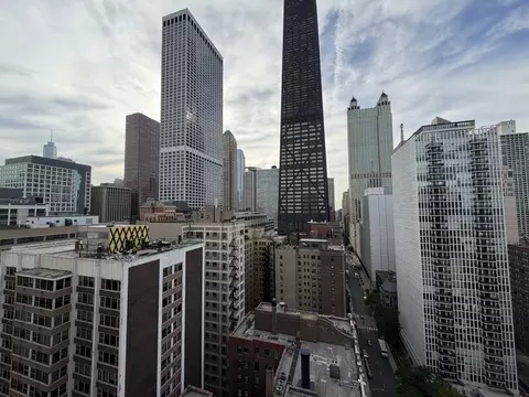 Other - 253 E Delaware Pl #8A, Chicago, IL 60611 photo 4 of 7