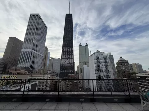 View/Area - 253 E Delaware Pl #8A, Chicago, IL 60611 photo 2 of 5