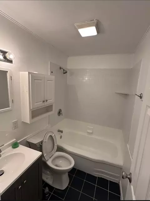Bath - 430 Spring Ave, Dekalb, IL 60115 photo 2 of 4