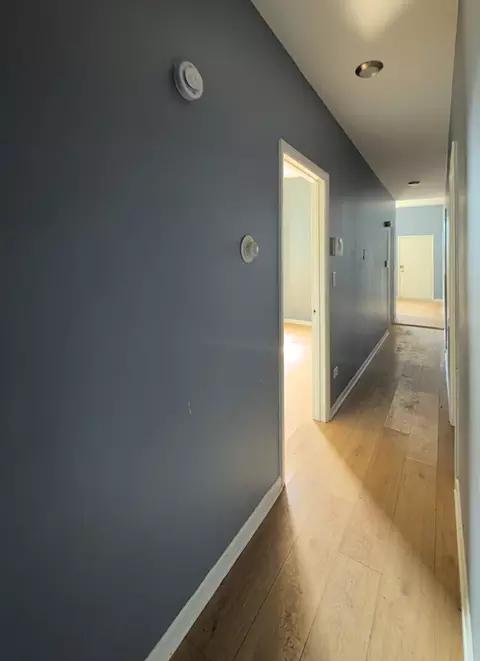 4520 S Indiana Ave, Chicago, IL 60653 photo 3