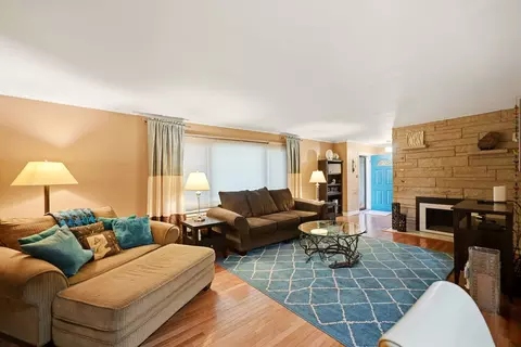 Living - 237 W Jackson St, Elmhurst, IL 60126 photo 2 of 2