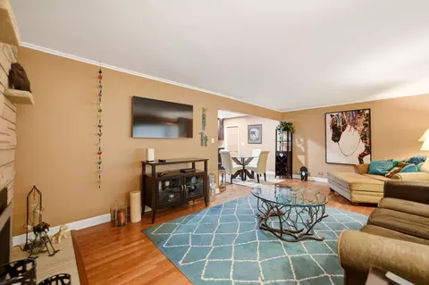 Living - 237 W Jackson St, Elmhurst, IL 60126 photo 1 of 2
