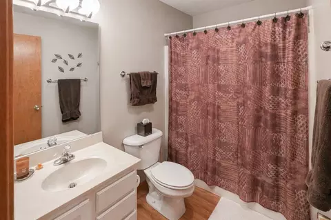Bath - 1261 Lake Summerset Rd, Davis, IL 61019 photo 2 of 3