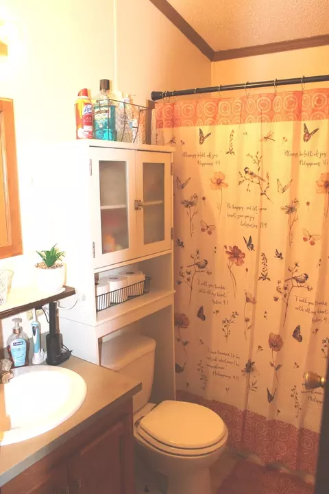 Bath - 8024 Garrett Rd, Alma, IL 62807 photo 3 of 3