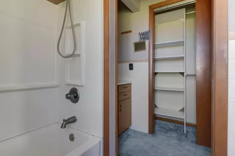 Bath - 21739 E 500 North Rd, Downs, IL 61736 photo 1 of 5