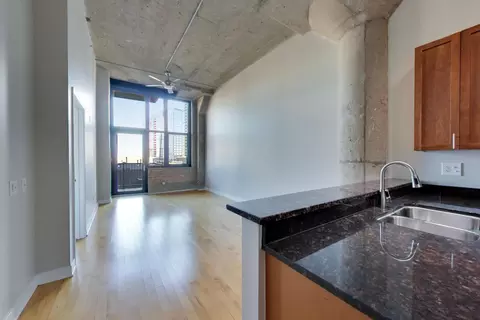 Living - 320 E 21st St #406, Chicago, IL 60616 photo 7 of 7