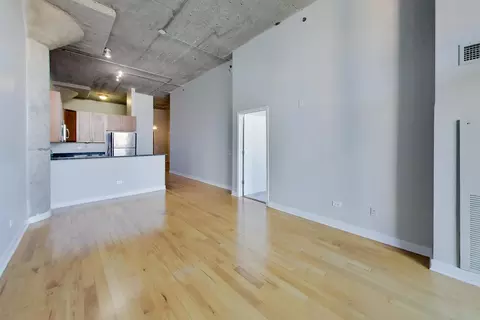 Living - 320 E 21st St #406, Chicago, IL 60616 photo 6 of 7