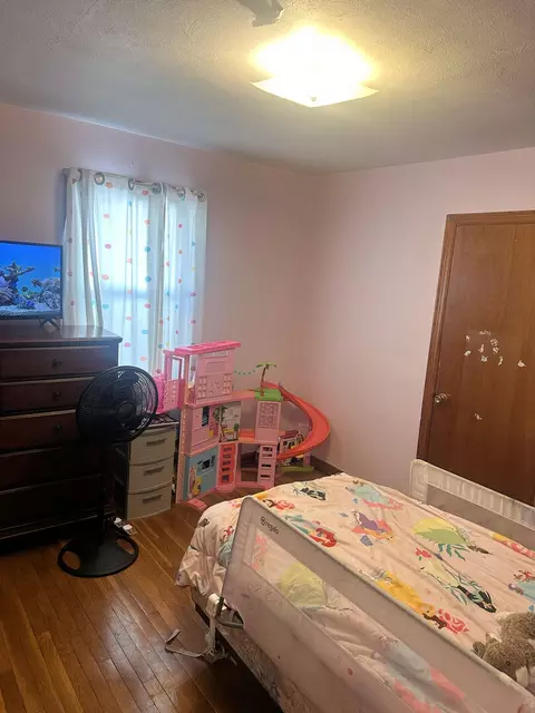 Bedroom - 907 Paddock Ave, Ashton, IL 61006 photo 3 of 4