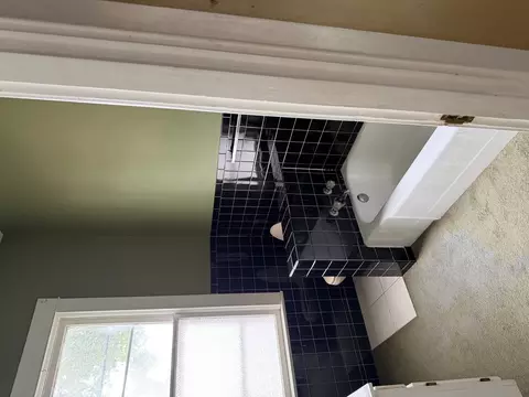 Bath - 818 Charles St, Cairo, IL 62914 photo 2 of 9