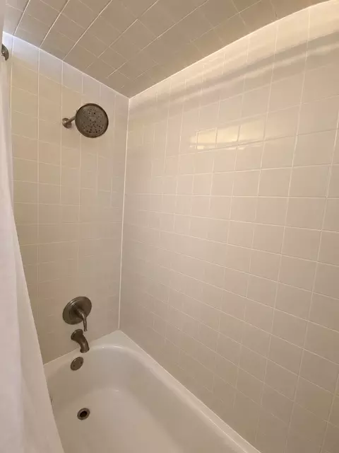 Bath - 1636 S Cora St, Des Plaines, IL 60018 photo 3 of 4