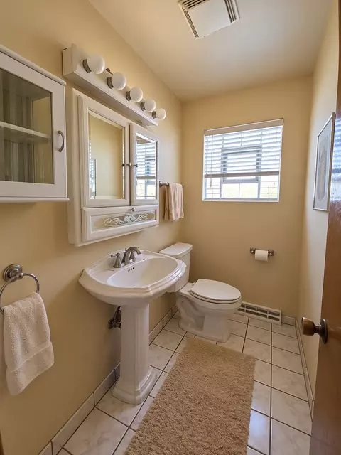 Bath - 1636 S Cora St, Des Plaines, IL 60018 photo 4 of 4