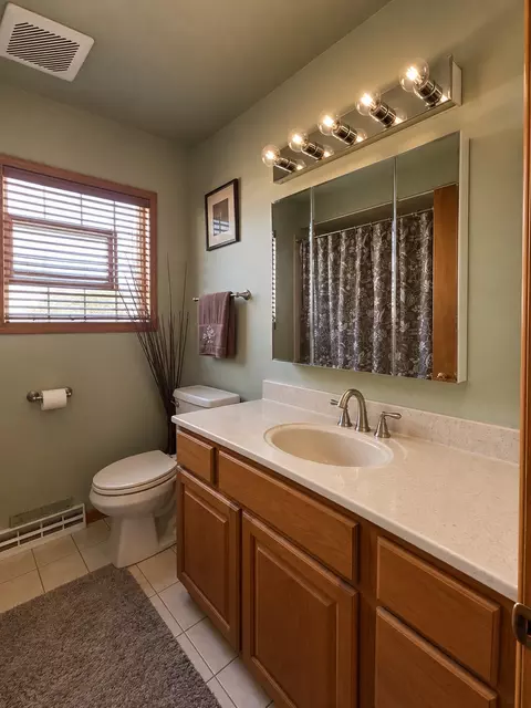 Bath - 1636 S Cora St, Des Plaines, IL 60018 photo 2 of 4