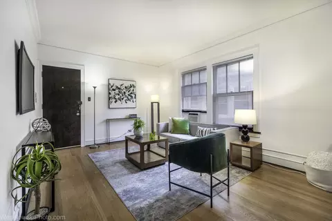 Living - 1522 E 59th St #3E, Chicago, IL 60637 photo 1 of 3