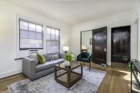 Living - 1522 E 59th St #3E, Chicago, IL 60637 photo 2 of 3
