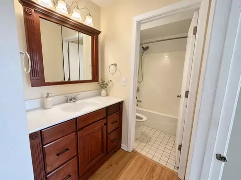 Bath - 1206 Kenneth Cir #1206, Elgin, IL 60120 photo 1 of 1
