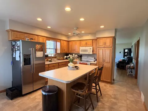 Kitchen - 407 W Santee St, Sublette, IL 61367 photo 2 of 4