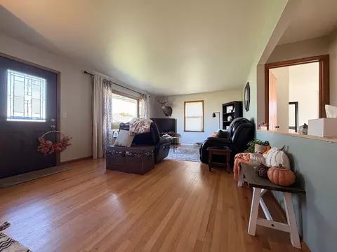 Entry Way - 407 W Santee St, Sublette, IL 61367 photo 2 of 4