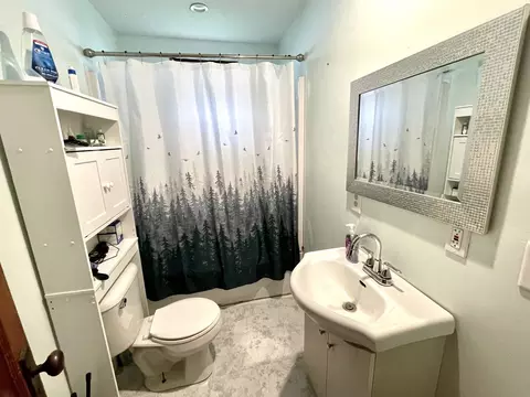 315 E Devlin St, Spring Valley, IL 61362 photo 7