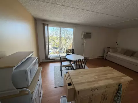 Living - 255 S West Ave #513, Elmhurst, IL 60126 photo 1 of 3