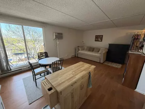 Other - 255 S West Ave #513, Elmhurst, IL 60126 photo 2 of 10