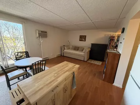 Other - 255 S West Ave #513, Elmhurst, IL 60126 photo 3 of 10