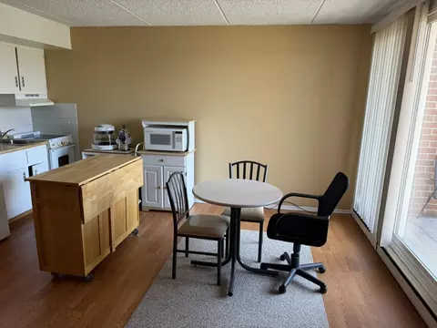 Other - 255 S West Ave #513, Elmhurst, IL 60126 photo 5 of 10