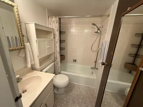 Bath - 255 S West Ave #513, Elmhurst, IL 60126 photo 1 of 1