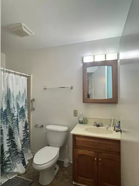 Bath - 280 Mohawk St, Park Forest, IL 60466 photo 2 of 2