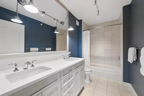 Bath - 450 E Waterside Dr #1302, Chicago, IL 60601 photo 4 of 5