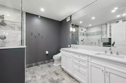 Bath - 450 E Waterside Dr #1302, Chicago, IL 60601 photo 1 of 5