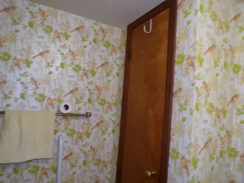 Bath - 5237 Beaucoup Rd, Ava, IL 62907 photo 3 of 4
