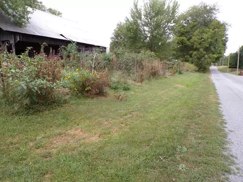 Exterior - 5237 Beaucoup Rd, Ava, IL 62907 photo 10 of 12