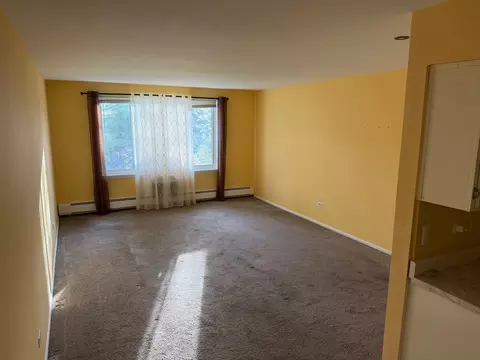 Living - 1500 Robin Cir #405, Hoffman Estates, IL 60169 photo 5 of 5