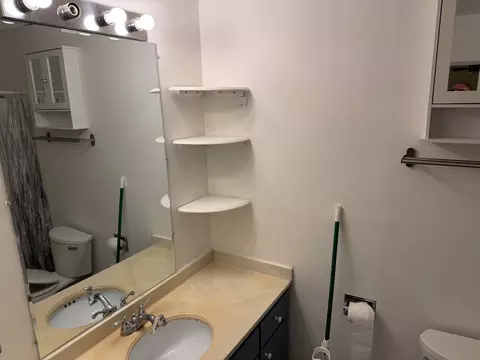 Bath - 1500 Robin Cir #405, Hoffman Estates, IL 60169 photo 2 of 2