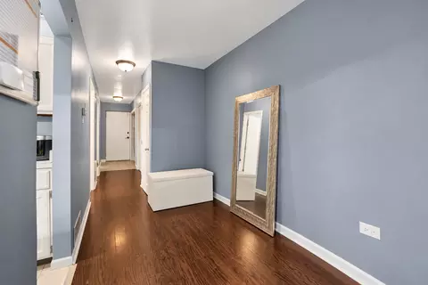 Entry Way - 1003 S Racine Ave, Chicago, IL 60607 photo 1 of 1