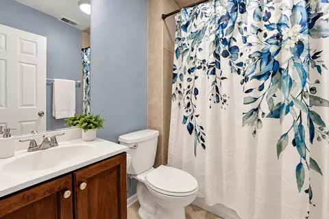 Bath - 1003 S Racine Ave, Chicago, IL 60607 photo 1 of 1