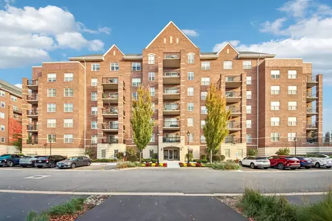 390 W Mahogany Ct #406, Palatine, IL 60067
