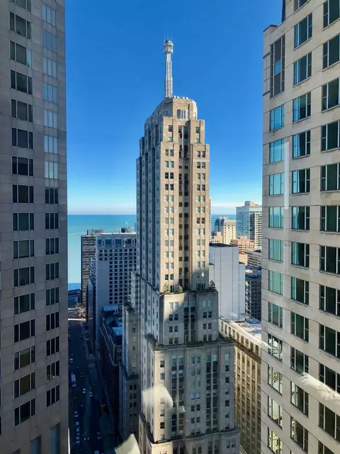 View/Area - 100 E Walton St #41DE, Chicago, IL 60611 photo 1 of 1