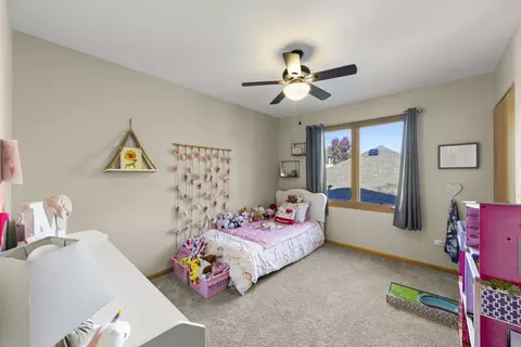 Bedroom - 24508 Brooklands Ln, Plainfield, IL 60585 photo 4 of 6