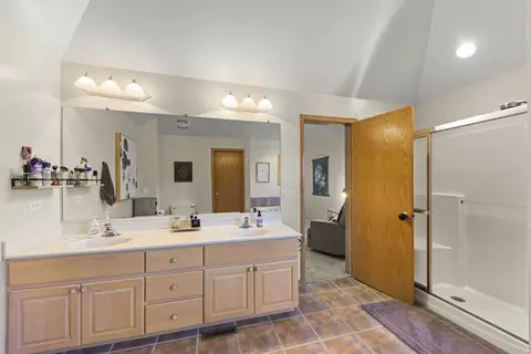 Bath - 24508 Brooklands Ln, Plainfield, IL 60585 photo 3 of 5