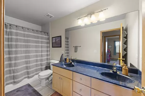 Bath - 24508 Brooklands Ln, Plainfield, IL 60585 photo 5 of 5