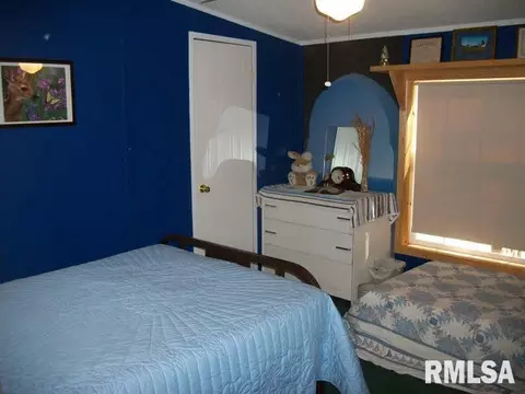 89 Cde, Murphysboro, IL 62966 photo 14