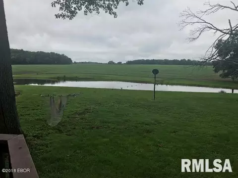 365 Main Rd, Murphysboro, IL 62966 photo 5