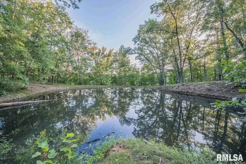 11795 E Violet Rd, Mount Vernon, IL 62864 photo 36