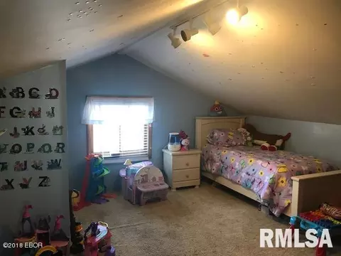 2137 Edith, Murphysboro, IL 62966 photo 17